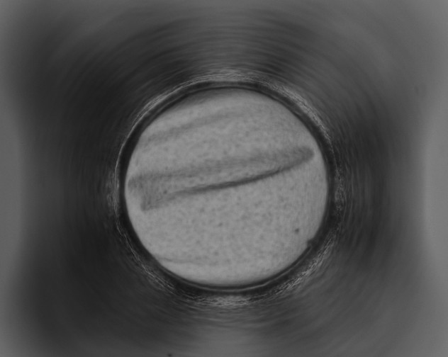 X0000095670837200801291135