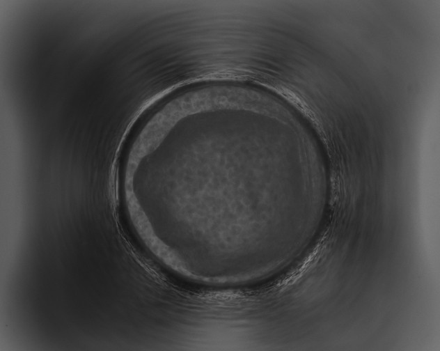 X0000095670838200801291135