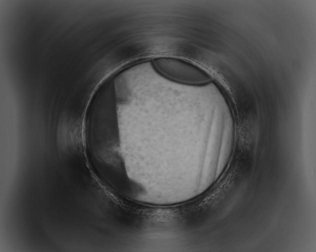 X0000095670839200801291135