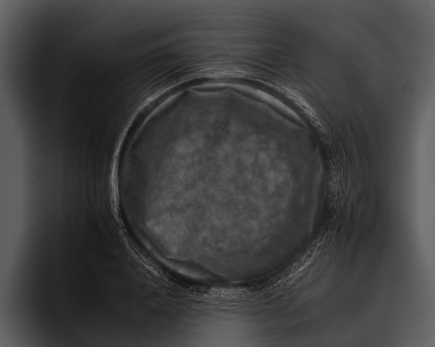 X0000095670840200801291135