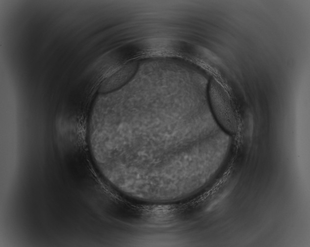 X0000095670841200801291135