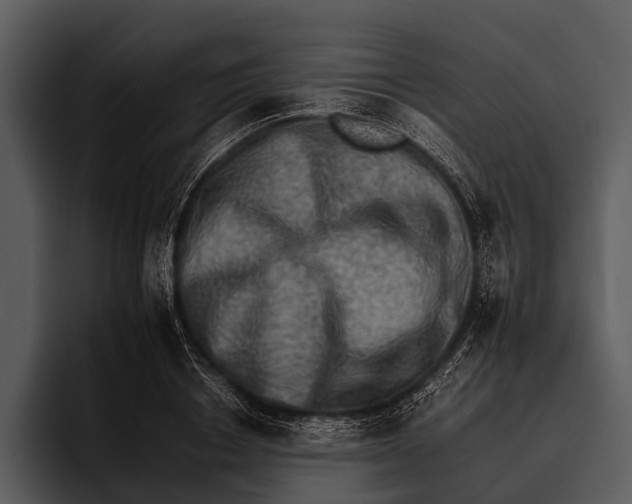 X0000095670842200801291135