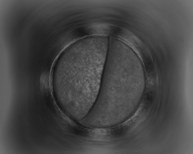 X0000095670843200801291135