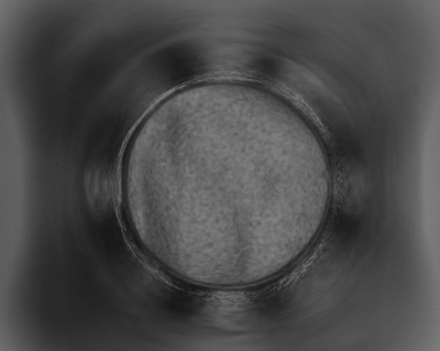 X0000095670844200801291135