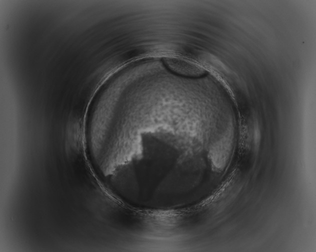 X0000095670845200801291135