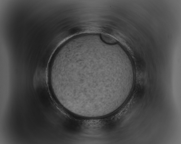 X0000095670846200801291135