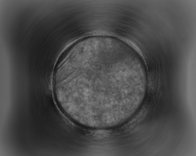 X0000095670847200801291135