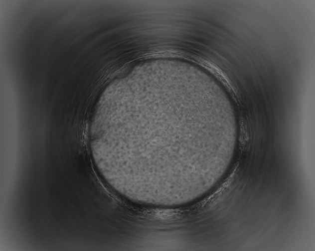 X0000095670849200801291135