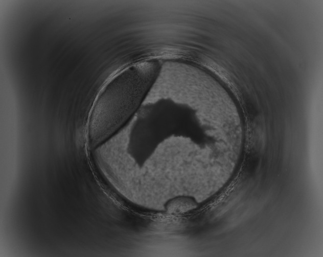 X0000095670850200801291135