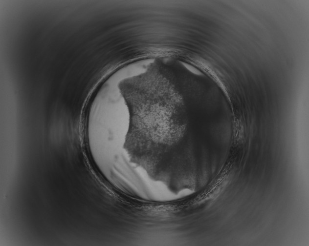 X0000095670851200801291135