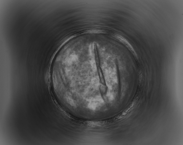 X0000095670852200801291135