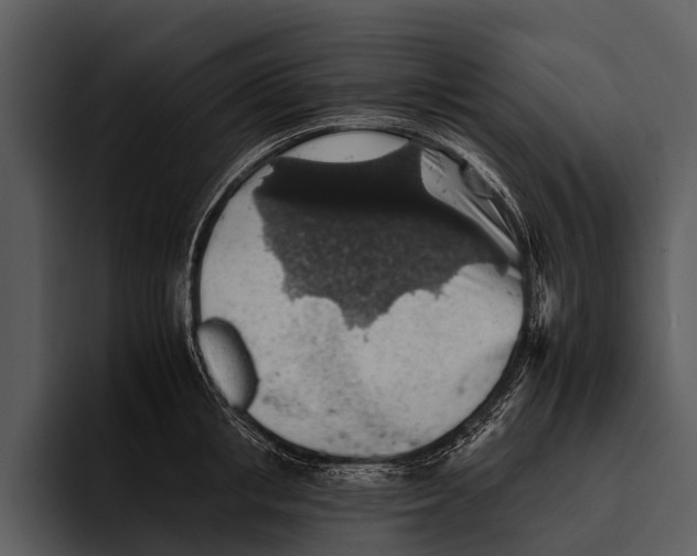 X0000095670853200801291135