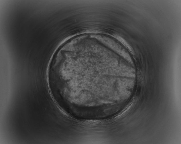 X0000095670854200801291135