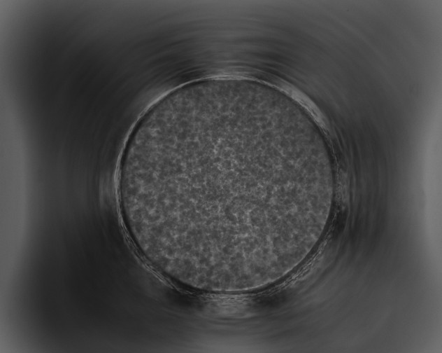 X0000095670856200801291135