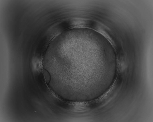 X0000095670857200801291135