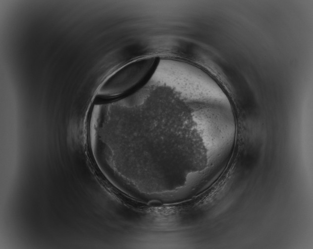 X0000095670858200801291135