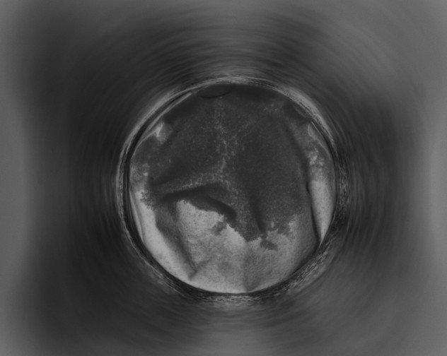 X0000095670859200801291135