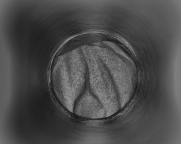 X0000095670860200801291135