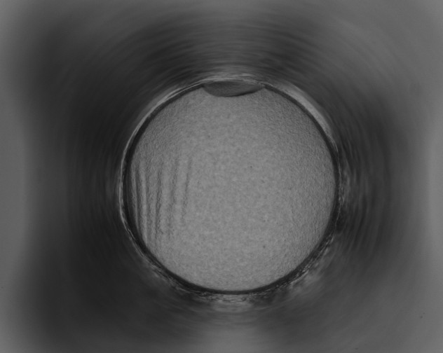 X0000095670861200801291135