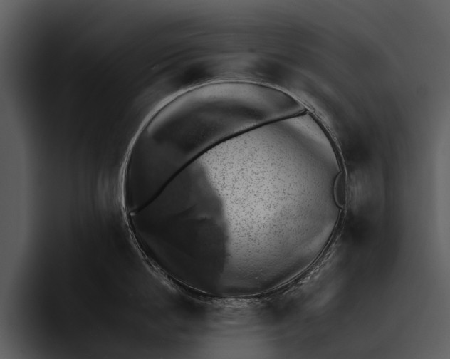 X0000095670862200801291135