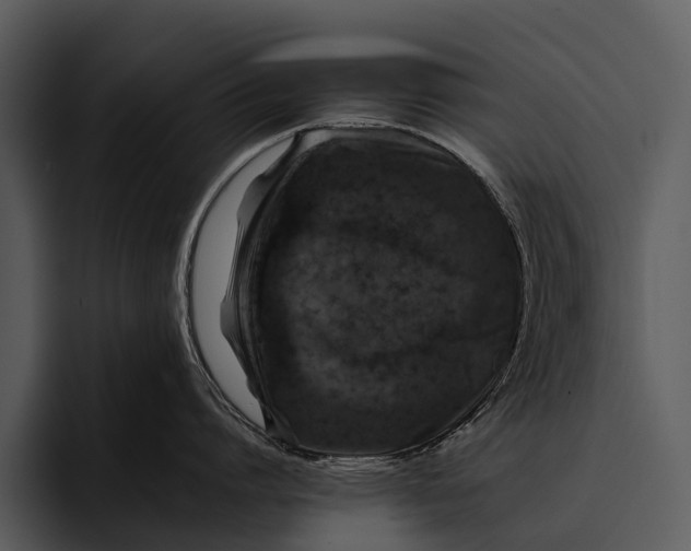 X0000095670864200801291135