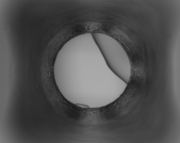 X0000095670865200801291135