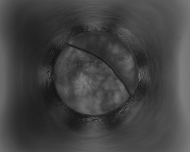 X0000095670867200801291135