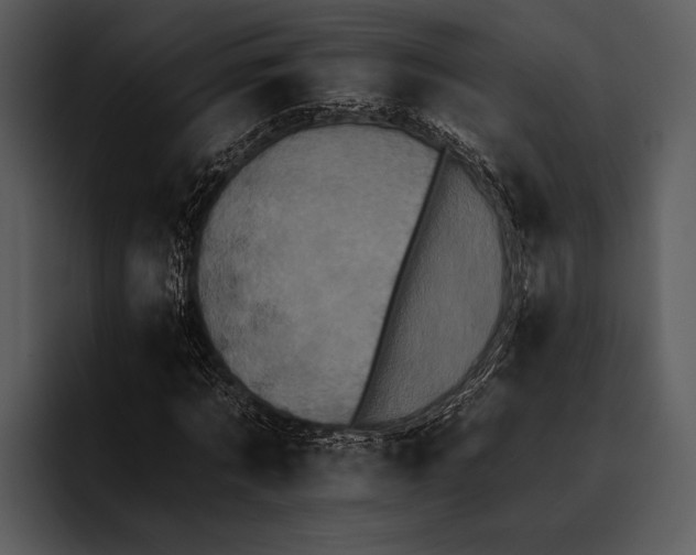 X0000095670869200801291135