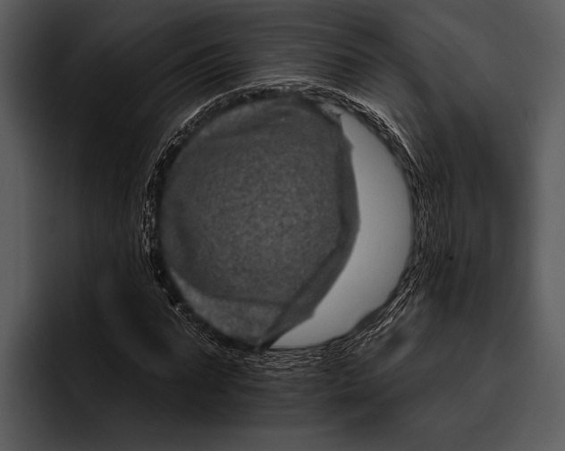 X0000095670871200801291135