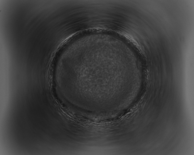 X0000095670872200801291135