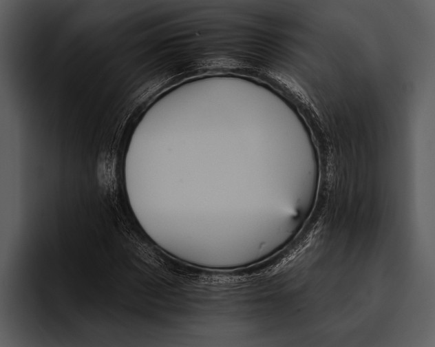 X0000095670873200801291135