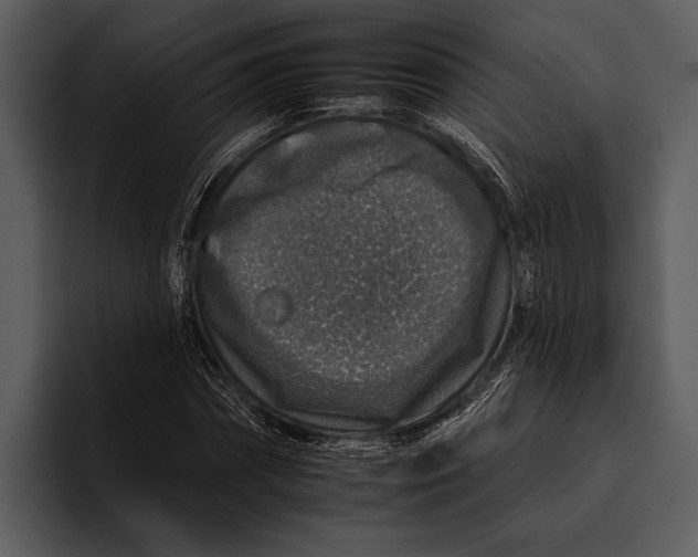 X0000095670874200801291135