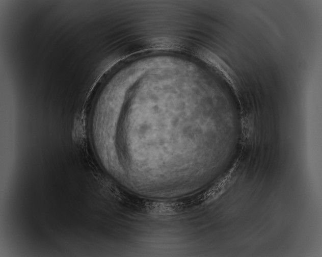 X0000095670875200801291135