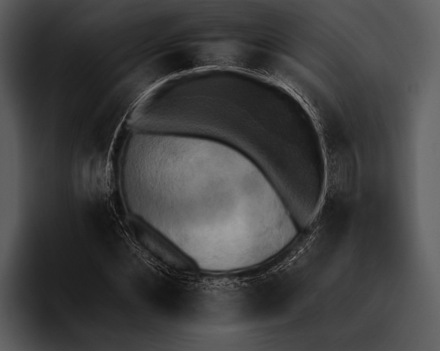 X0000095670876200801291135