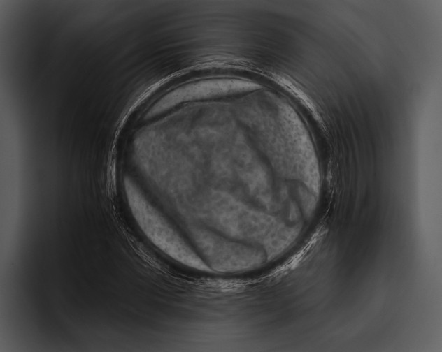 X0000095670877200801291135