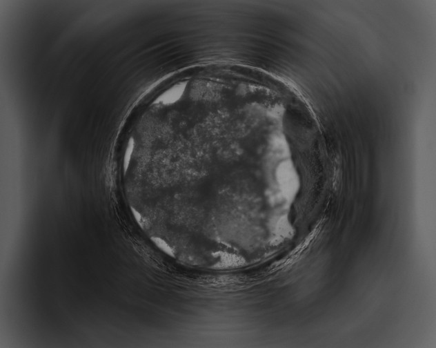 X0000095670879200801291135