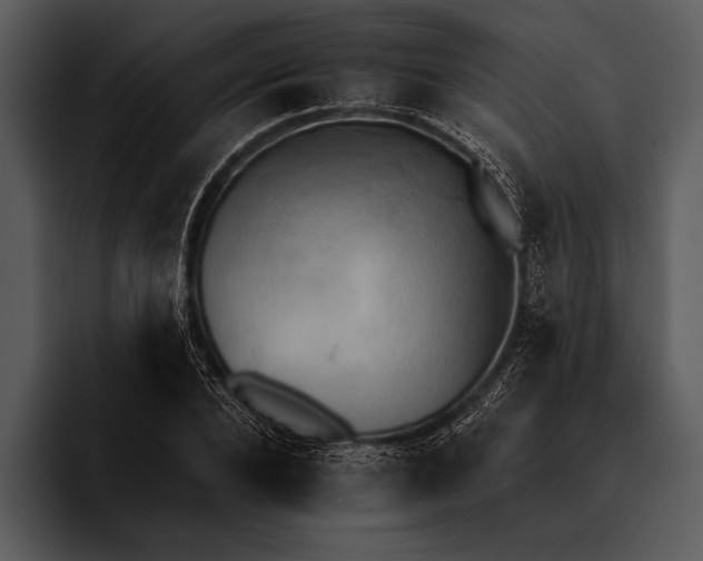 X0000095670880200801291134