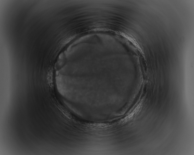 X0000095670881200801291134