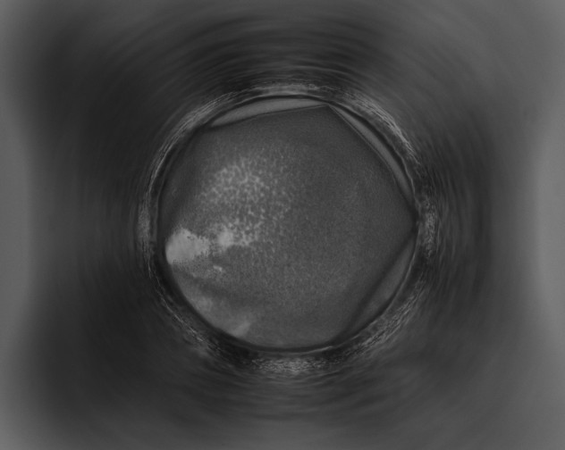 X0000095670882200801291134