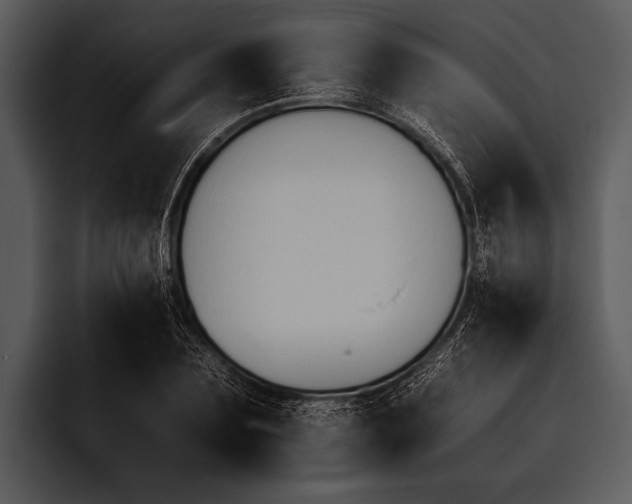 X0000095670883200801291134