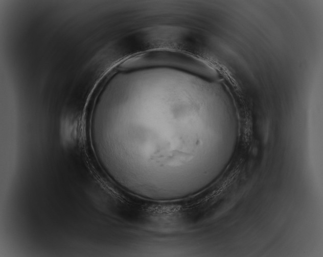 X0000095670884200801291134