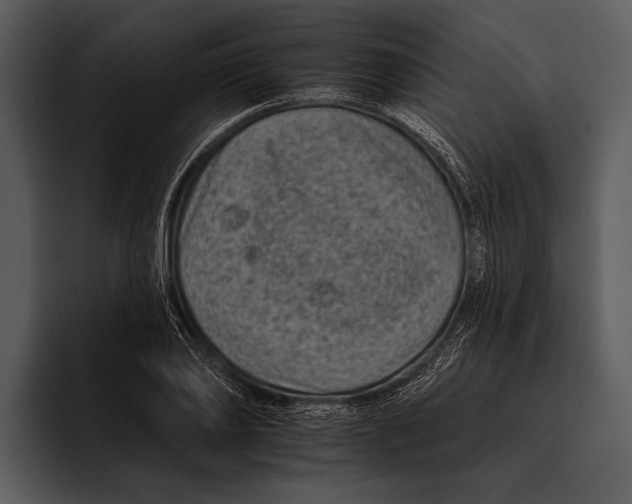 X0000095670886200801291134