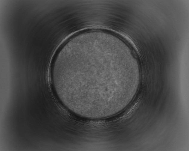 X0000095670887200801291134