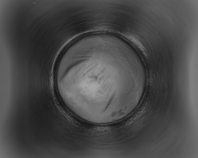 X0000095670888200801291134