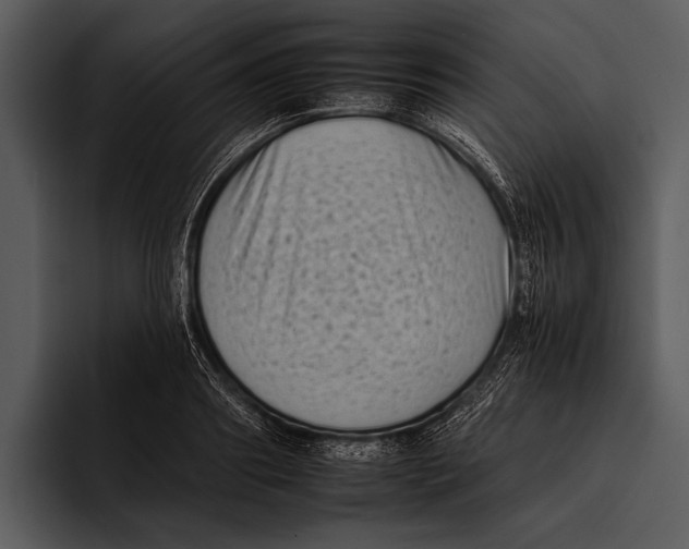 X0000095670890200801291134