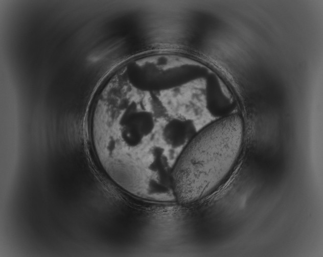 X0000095670891200801291134