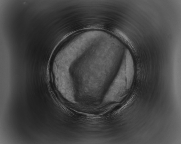 X0000095670892200801291134