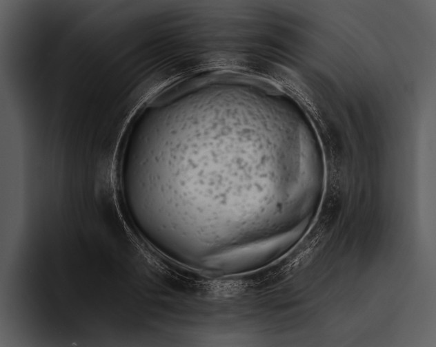 X0000095670893200801291134