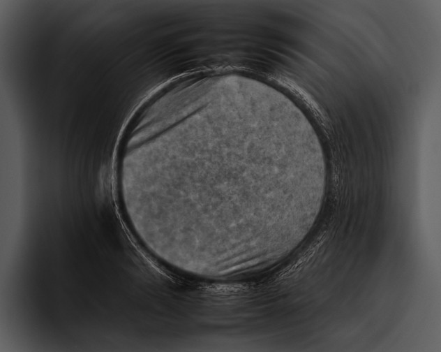 X0000095670894200801291134