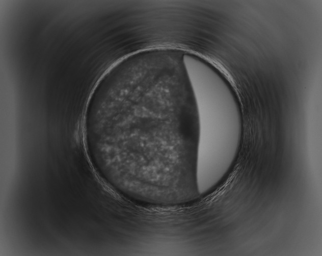 X0000095670895200801291134